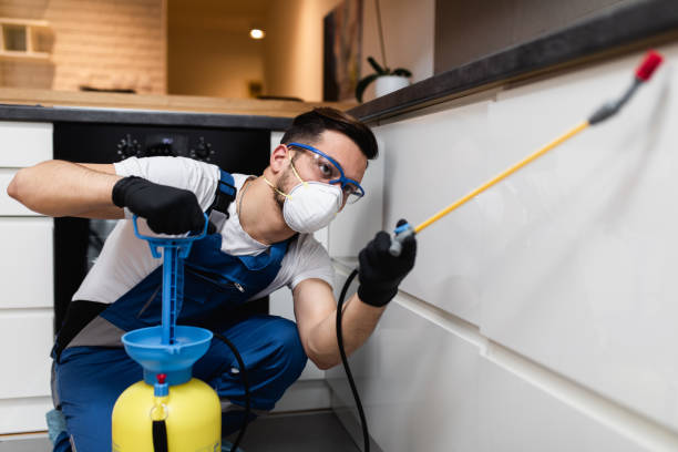 Best Pest Control Near Me in Bristol, FL