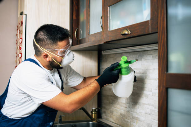 Best Best Pest Control Companies  in Bristol, FL