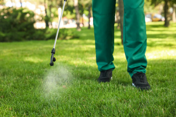 Best Termite Control Services  in Bristol, FL