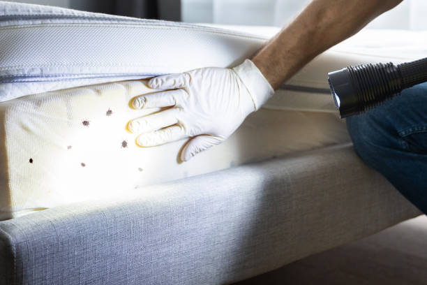 Best Cockroach Control Services  in Bristol, FL